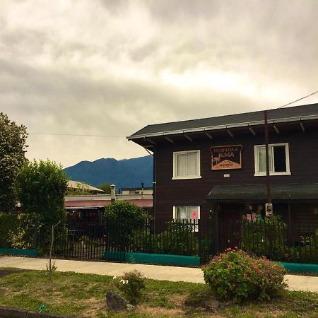 Hospedaje Irma Backpackers プコン エクステリア 写真