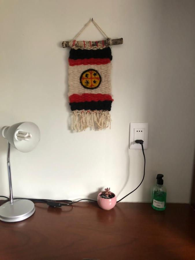 Hospedaje Irma Backpackers プコン エクステリア 写真